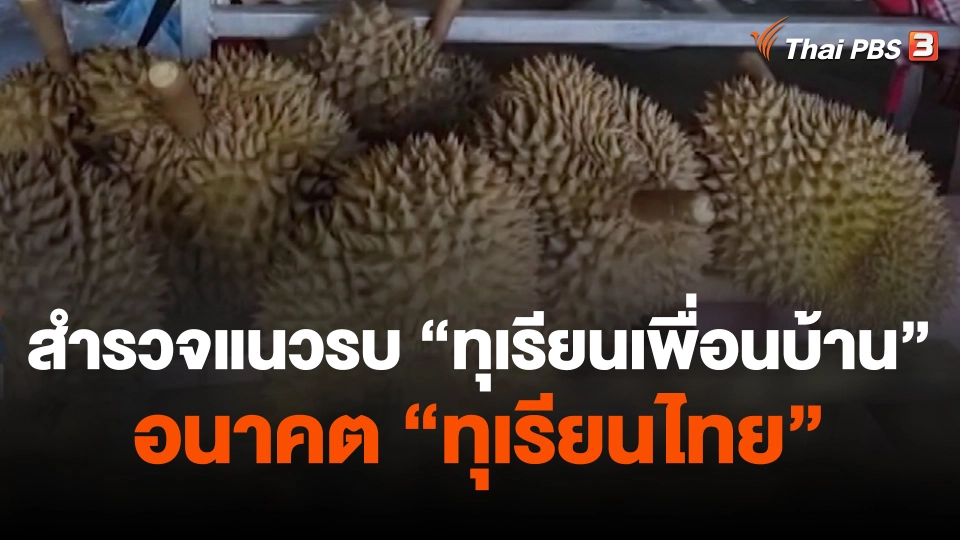 สำรวจแนวรบ "ทุเรียนเพื่อนบ้าน" อนาคต "ทุเรียนไทย"