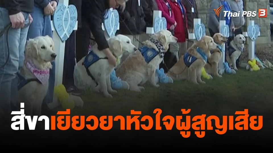 สี่ขาเยียวยาหัวใจผู้สูญเสีย