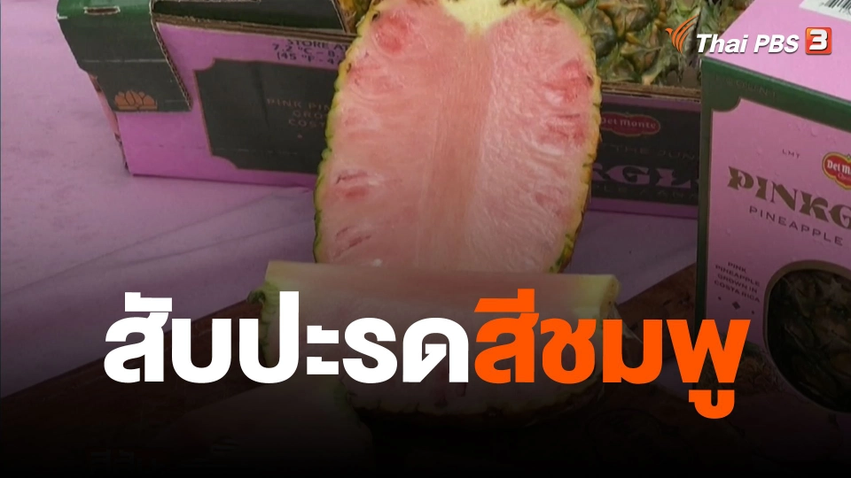 สับปะรดสีชมพู