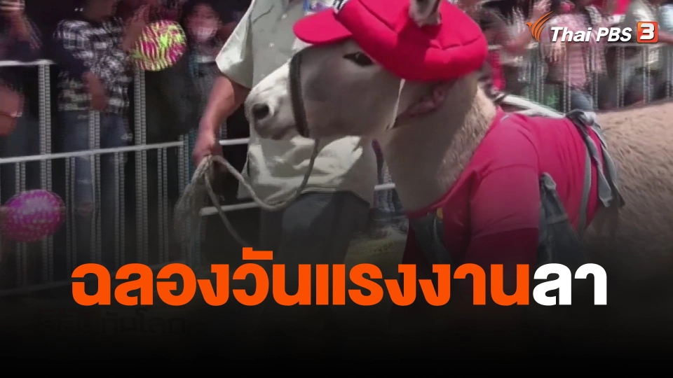 ฉลองวันแรงงานลา