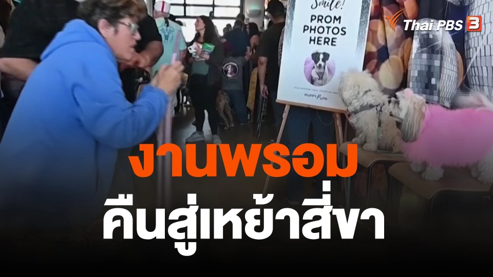 งานพรอมคืนสู่เหย้าสี่ขา