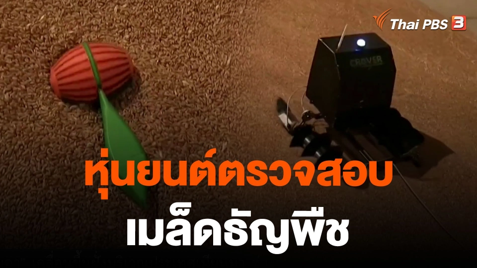 หุ่นยนต์ตรวจสอบเมล็ดธัญพืช