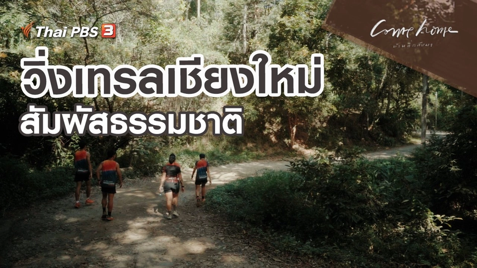 ​เรื่องเล่าคนกลับบ้าน : วิ่งเทรลเชียงใหม่สัมผัสธรรมชาติ