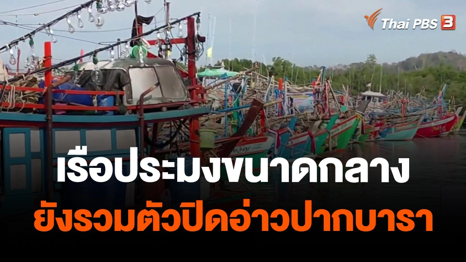เรือประมงขนาดกลางยังรวมตัวปิดอ่าวปากบารา จ.สตูล