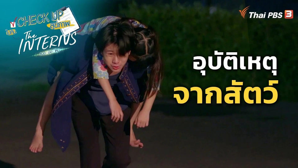 ​CHECK UP สุขภาพ : อุบัติเหตุจากสัตว์