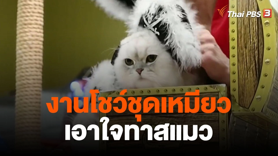 งานโชว์ชุดเหมียวเอาใจทาสแมว