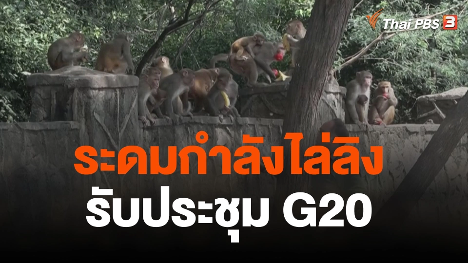 ระดมกำลังไล่ลิงรับประชุม G20