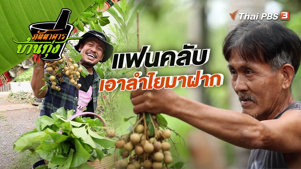 คลิปบ้านทุ่ง : แฟนคลับเอาลำไยมาฝาก