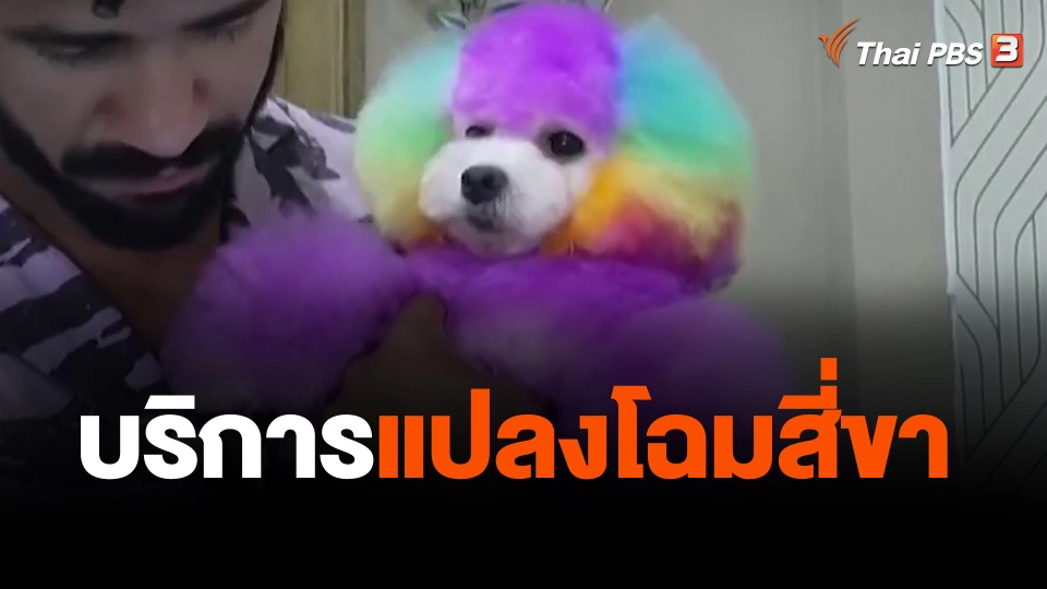 บริการแปลงโฉมสี่ขา