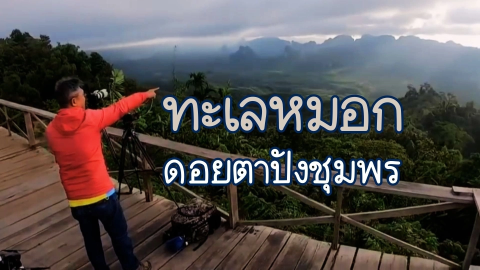 จุดชมทะเลหมอกดอยตาปัง