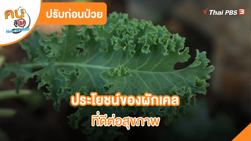 ประโยชน์ของผักเคลที่ดีต่อสุขภาพ