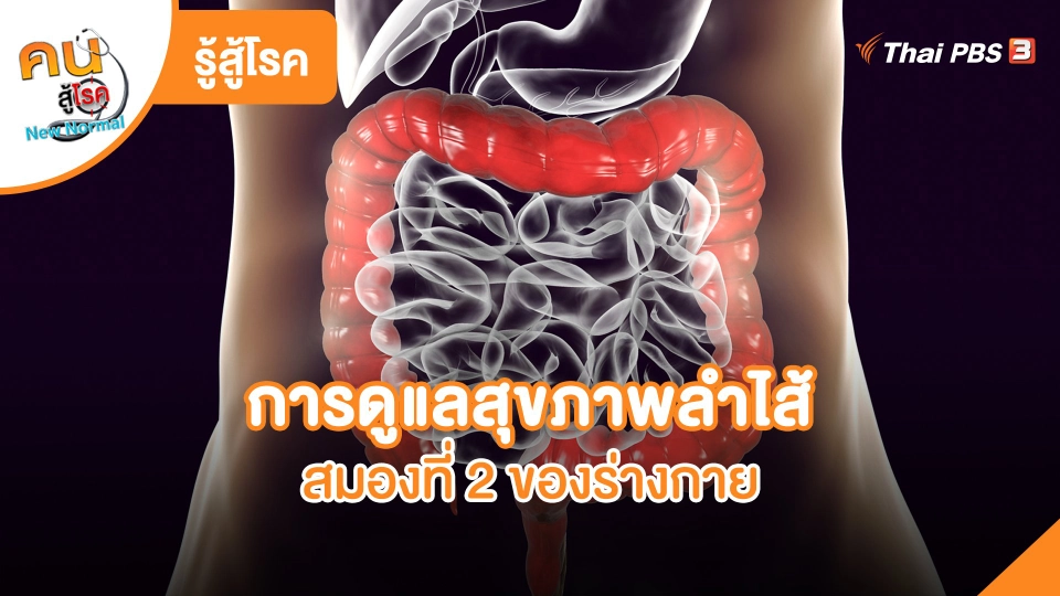 รู้สู้โรค : การดูแลสุขภาพลำไส้ สมองที่ 2 ของร่างกาย