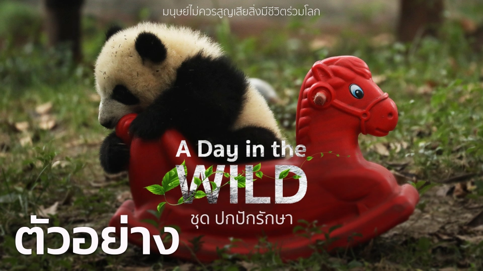 A Day in the Wild ชุด ปกปักรักษา