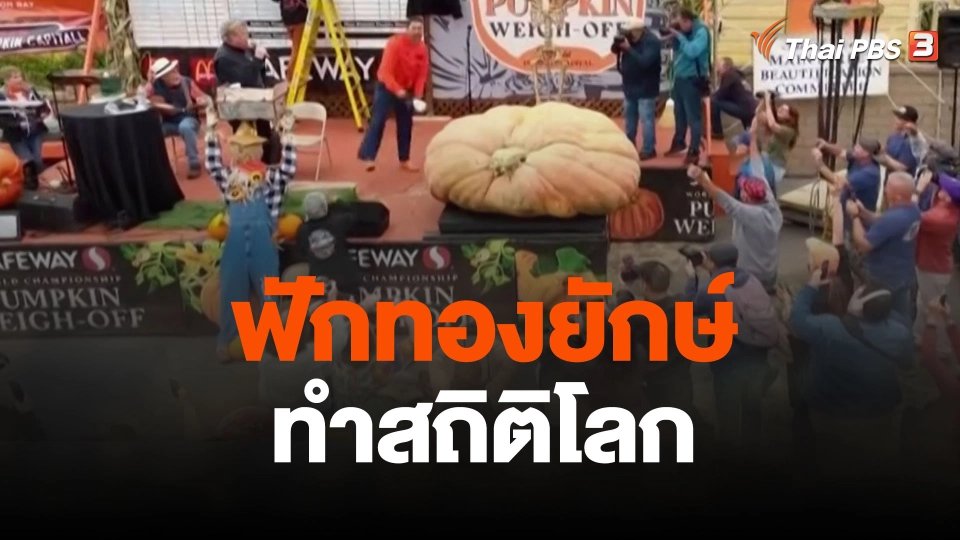 ฟักทองยักษ์ทำสถิติโลก