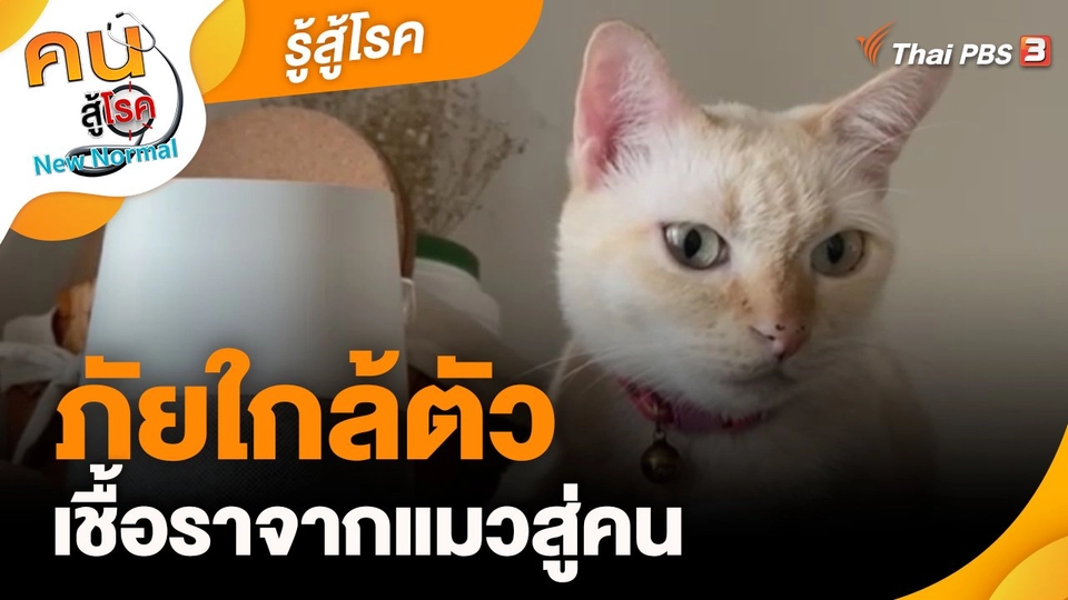 ​รู้สู้โรค : ภัยใกล้ตัว เชื้อราจากแมวสู่คน