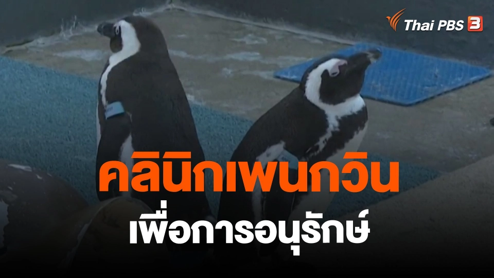 ​คลินิกเพนกวินเพื่อการอนุรักษ์