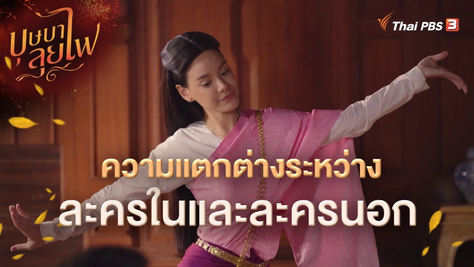 ความแตกต่างระหว่างละครในและละครนอก