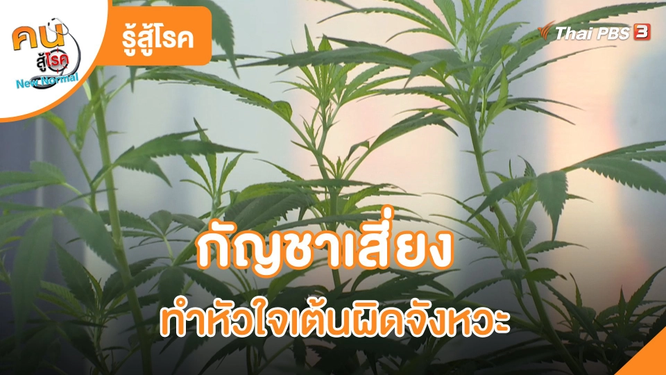 รู้สู้โรค : กัญชาเสี่ยงทำหัวใจเต้นผิดจังหวะ