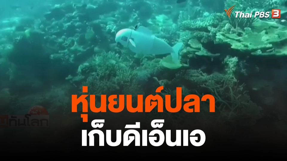 หุ่นยนต์ปลาเก็บดีเอ็นเอ