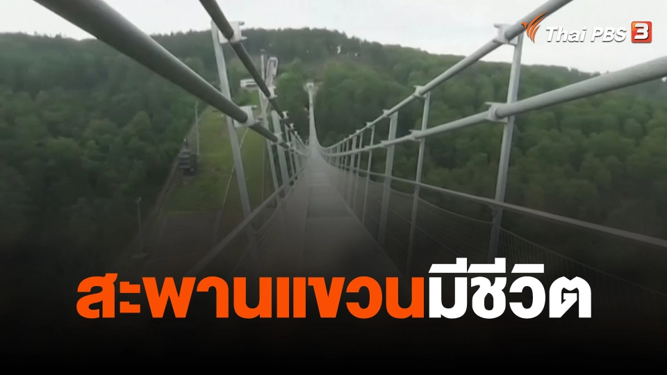 สะพานแขวนมีชีวิต