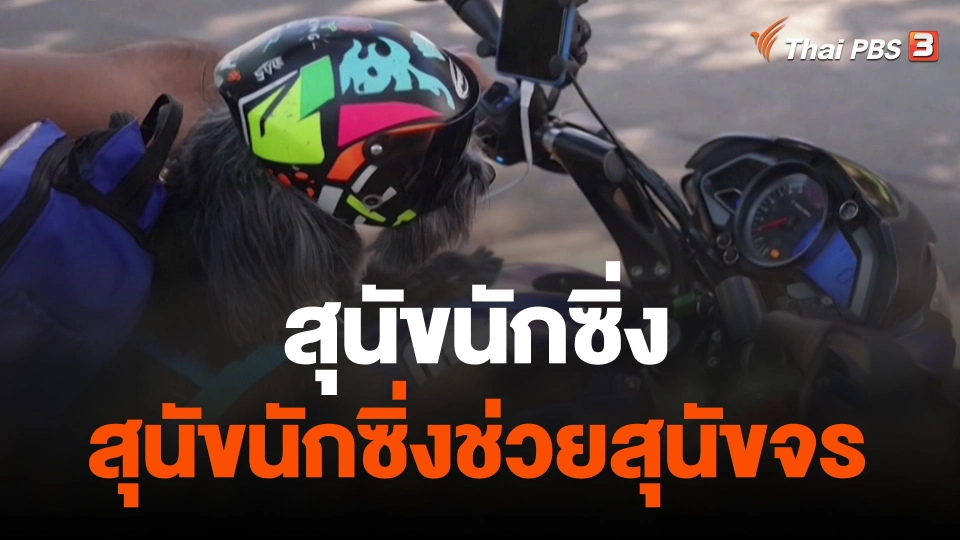 สุนัขนักซิ่งช่วยสุนัขจร