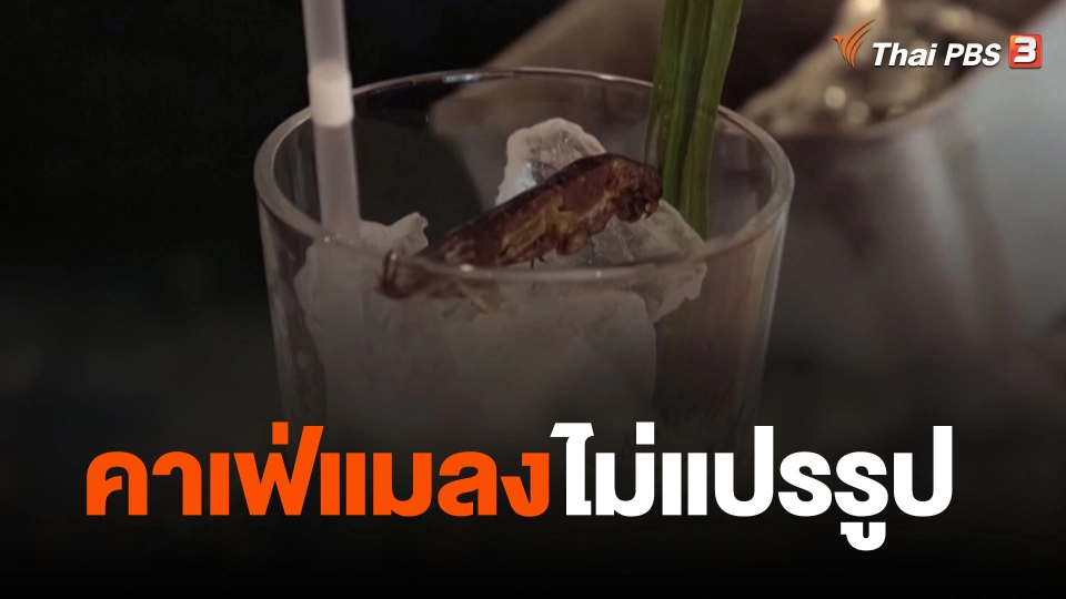 คาเฟ่แมลงไม่แปรรูป