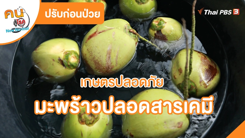 ปรับก่อนป่วย : เกษตรปลอดภัย มะพร้าวปลอดสารเคมี จ.ราชบุรี