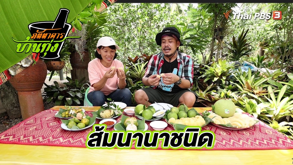 ส้มนานาชนิด