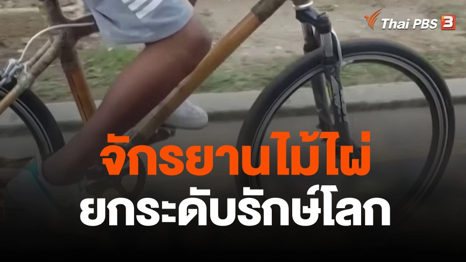 จักรยานไม้ไผ่ยกระดับรักษ์โลก