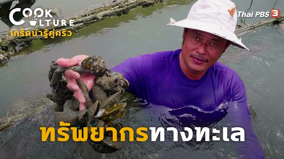 เกร็ดน่ารู้คู่ครัว : ทรัพยากรทางทะเล