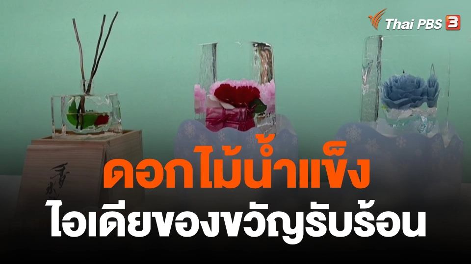 ดอกไม้น้ำแข็ง ไอเดียของขวัญรับร้อน