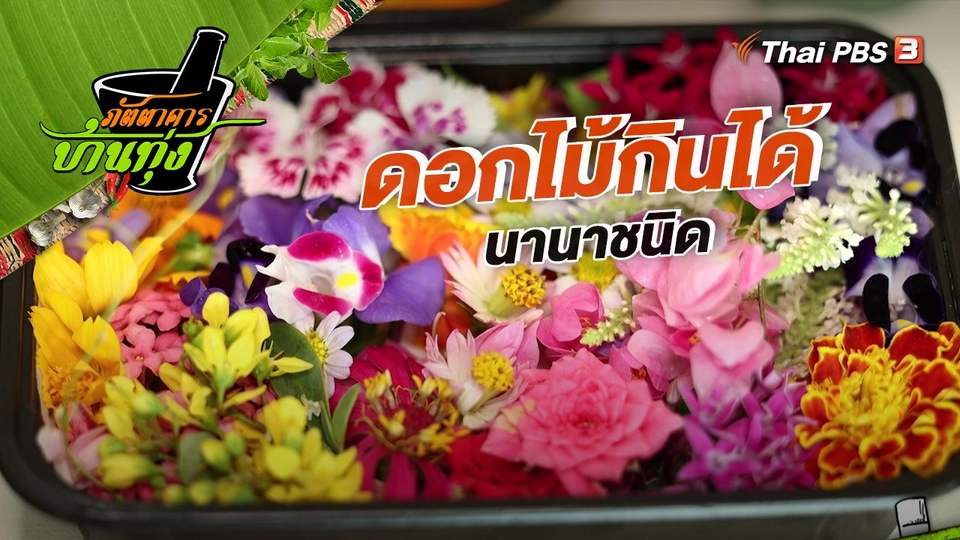 คลิปบ้านทุ่ง : ดอกไม้กินได้นานาชนิด