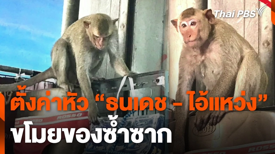 ประกาศตั้งค่าหัว "ธนเดช - ไอ้แหว่ง" ขโมยของซ้ำซาก