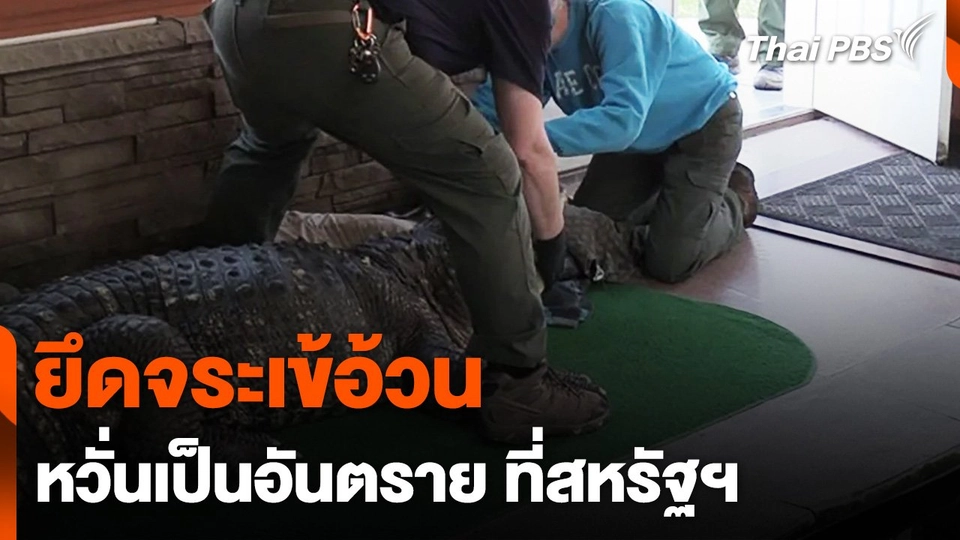 ยึดจระเข้อ้วน หวั่นเป็นอันตราย สหรัฐอเมริกา