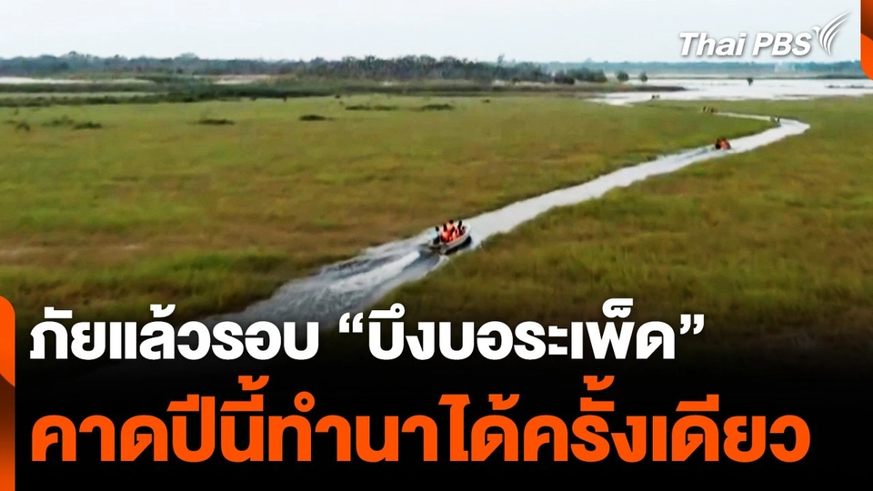 ภัยแล้วรอบ "บึงบอระเพ็ด" คาดปีนี้ทำนาได้ครั้งเดียว