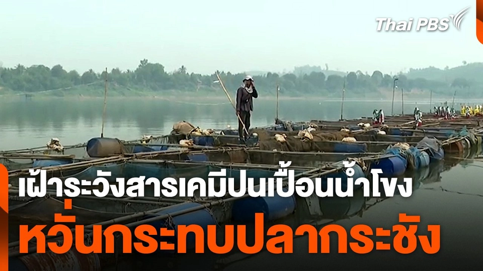 เฝ้าระวังสารเคมีปนเปื้อนน้ำโขง หวั่นกระทบปลากระชัง จ.เลย