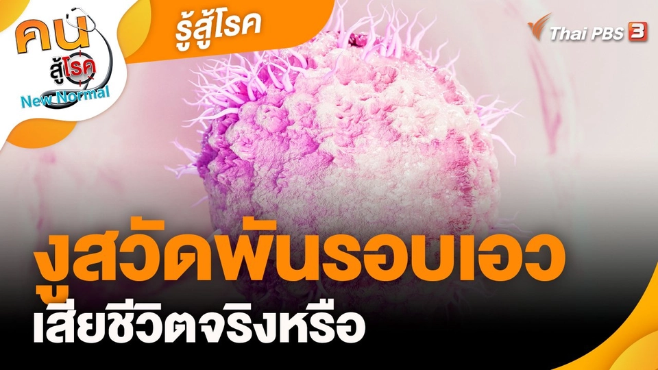 รู้สู้โรค : งูสวัดพันรอบเอวแล้วเสียชีวิตจริงหรือ