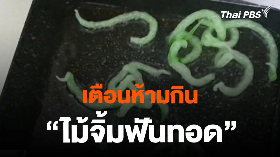 ​เตือนห้ามกิน "ไม้จิ้มฟันทอด"