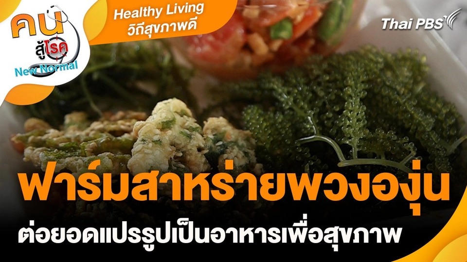 Healthy Living วิถีสุขภาพดี :  ฟาร์มสาหร่ายพวงองุ่น