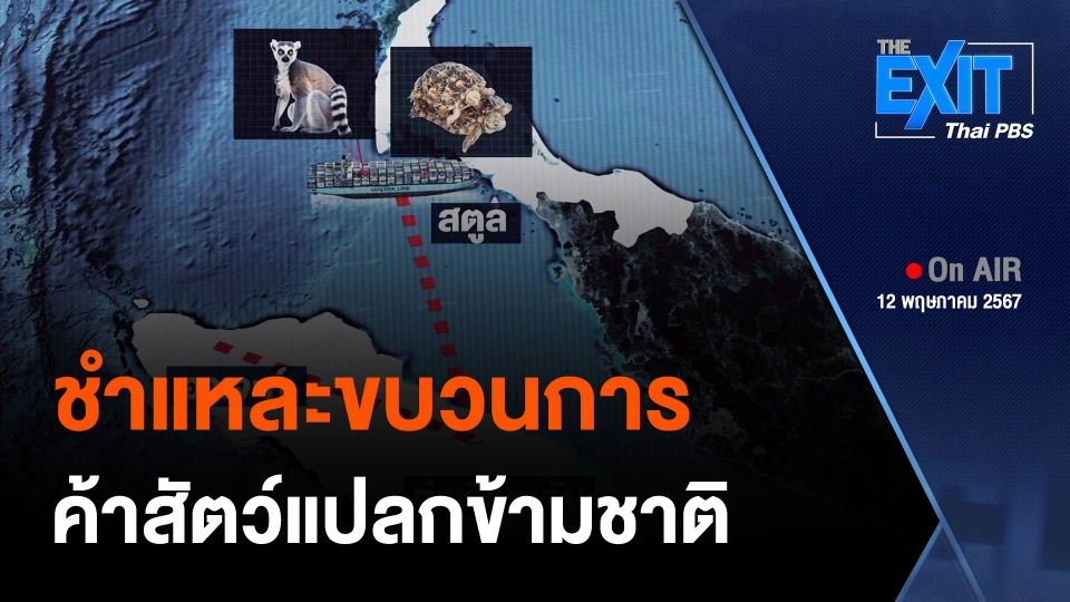 The EXIT : ชำแหละขบวนการค้าสัตว์แปลกข้ามชาติ