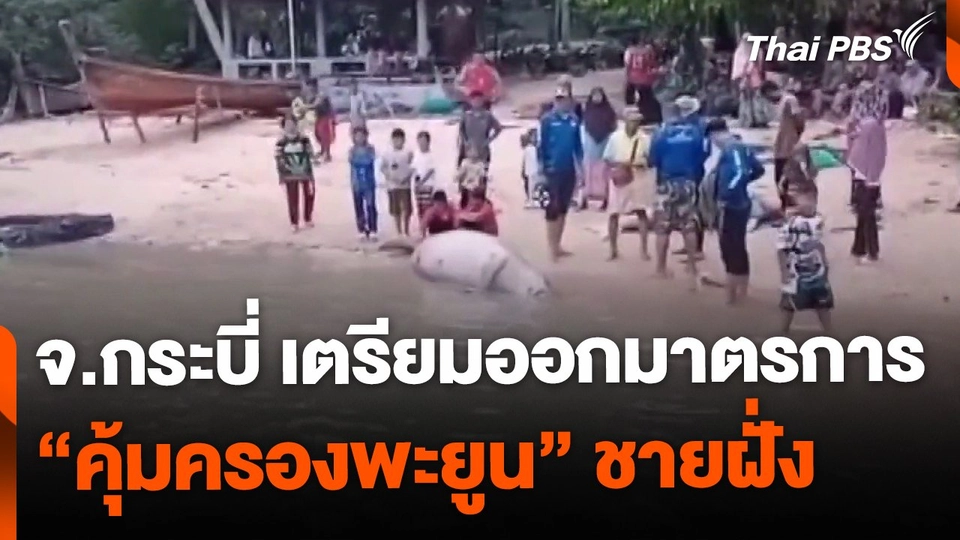 กระบี่ออกมาตรการ คุ้มครองพะยูน