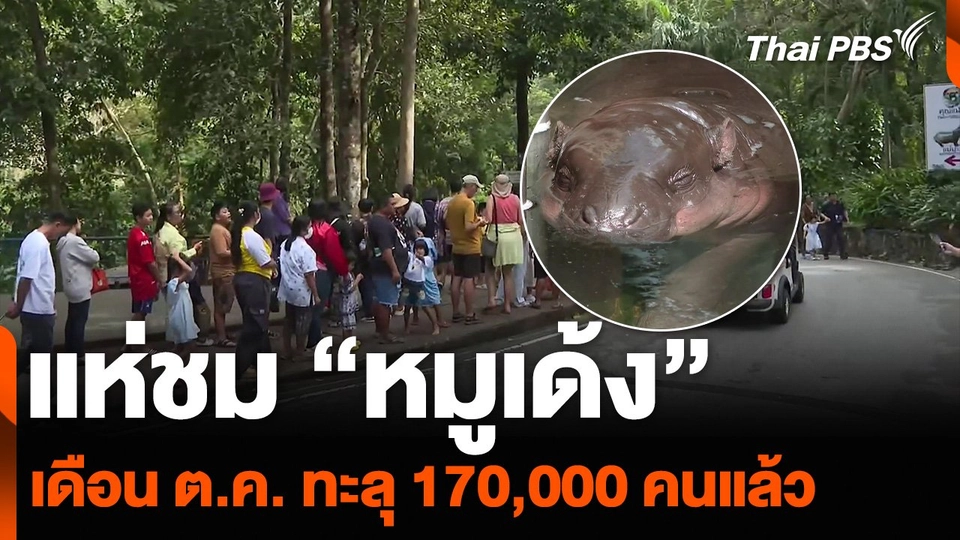 แห่ชม “หมูเด้ง” เดือน ต.ค. ทะลุ 170,000 คนแล้ว