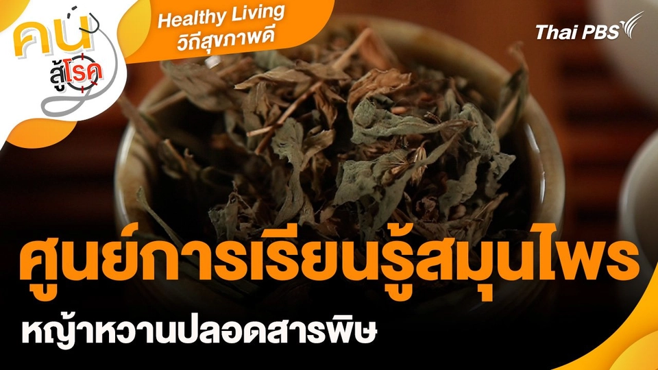 Healthy Living วิถีสุขภาพดี : ศูนย์การเรียนรู้สมุนไพร หญ้าหวานปลอดสารพิษ