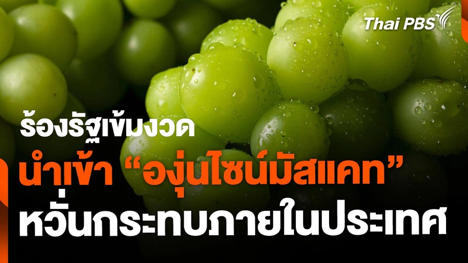 ร้องรัฐเข้มนำเข้า "องุ่นไซน์มัสแคท" หวั่นกระทบภายในประเทศ