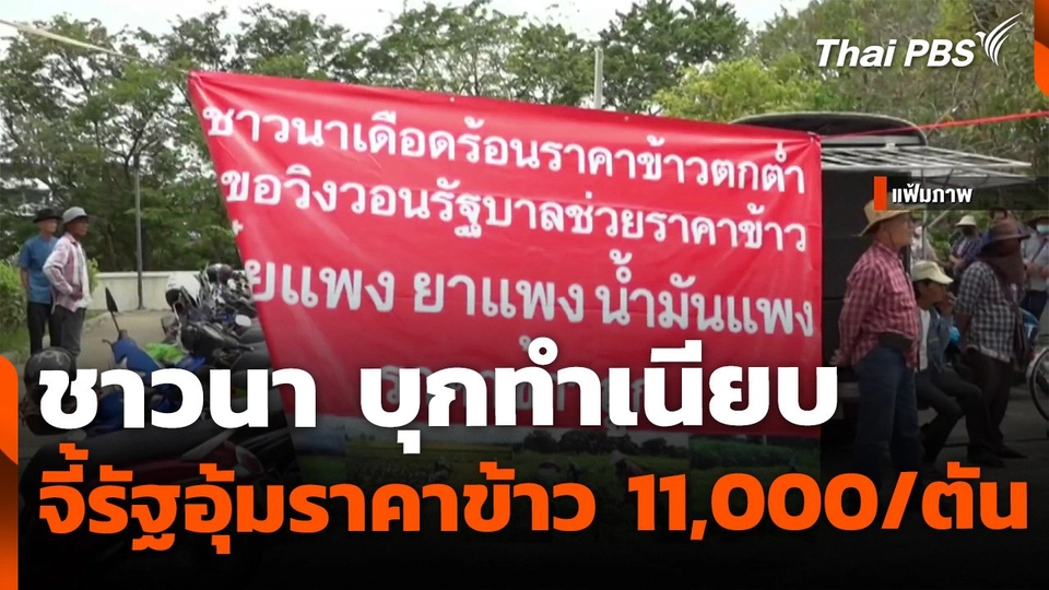 ชาวนาบุกทำเนียบสัปดาห์หน้า จี้รัฐอุ้มราคาข้าว 11,000 ต่อตัน