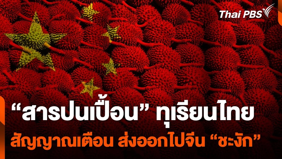 "สารปนเปื้อน" ทุเรียนไทย สัญญาณเตือน ส่งออกไปจีน "ชะงัก"
