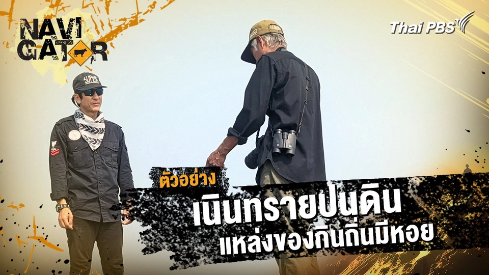 ตัวอย่าง | รายการ Navigator ตอน เนินทรายปนดิน แหล่งของกินถิ่นมีหอย | 2 ก.พ. 68 10.00 น.