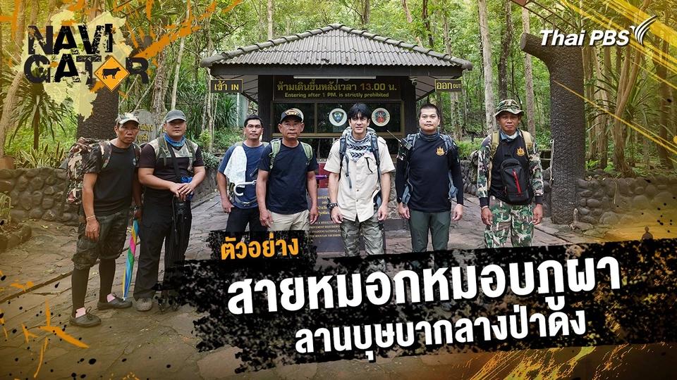 ตัวอย่าง | รายการ Navigator ตอน สายหมอกหมอบภูผา ลานบุษบากลางป่าดง | 9 ก.พ. 68 10.00 น.