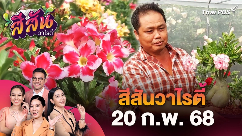 สีสันวาไรตี้ (20 ก.พ. 68)