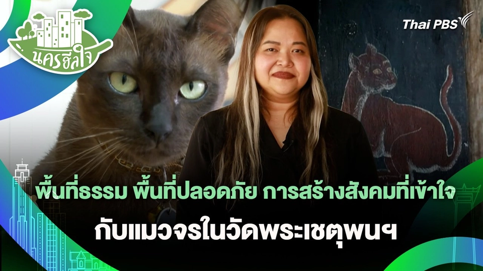 นครฮีลใจ : พื้นที่ธรรม พื้นที่ปลอดภัย การสร้างสังคมที่เข้าใจกับแมวจรในวัดพระเชตุพนฯ
